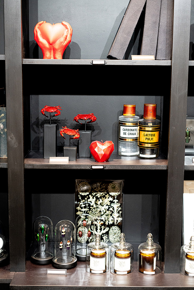 Decoration cabinet de curiosite paris