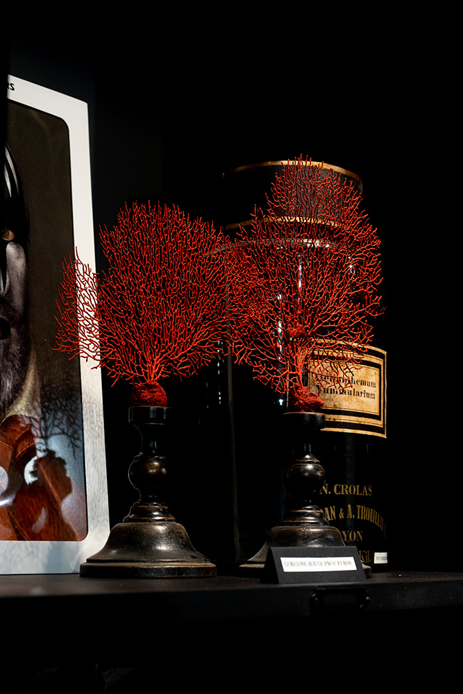 Beyond%20Paris cabinet-of-curiosities