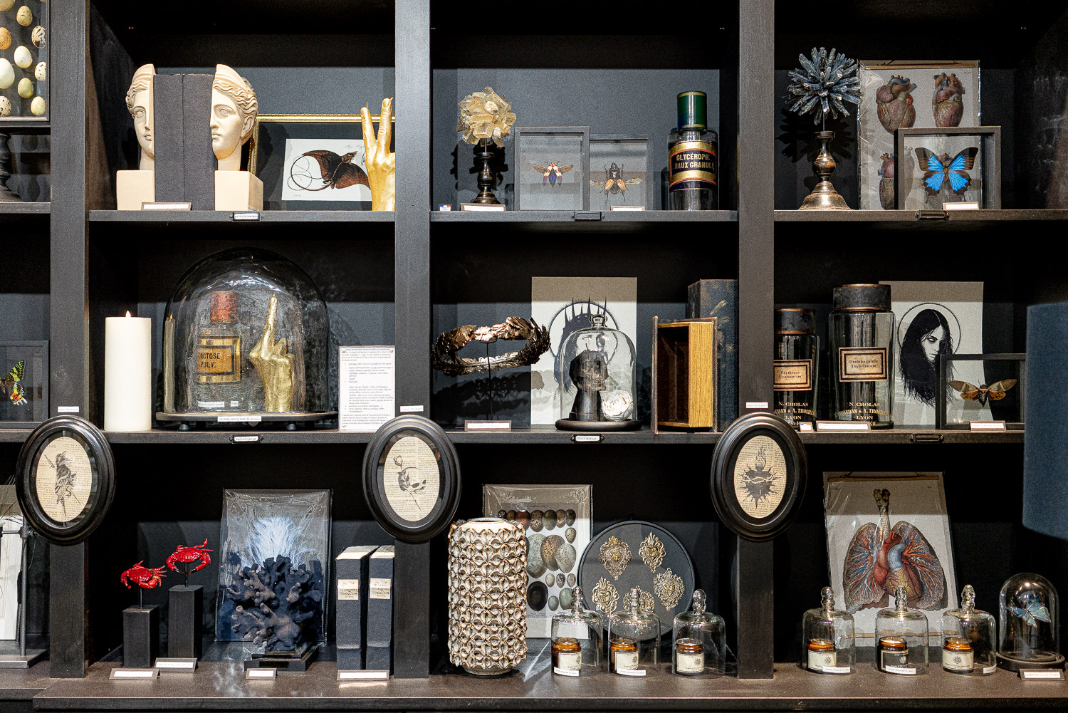 Beyond%20Paris cabinet-of-curiosities