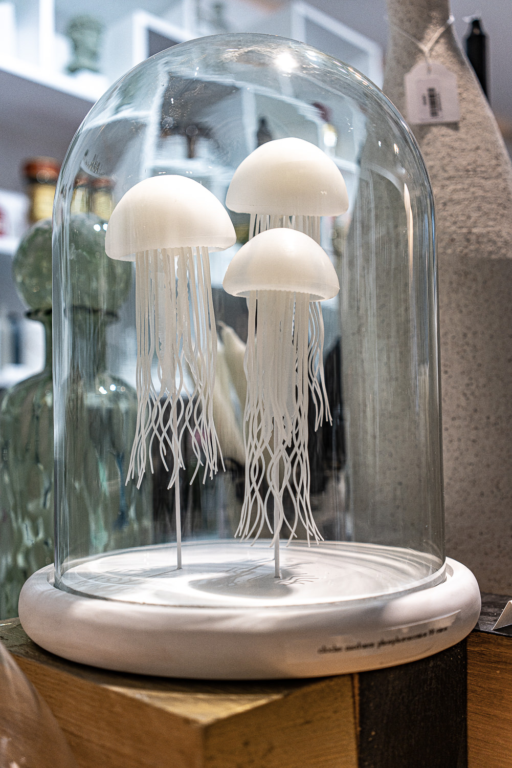 Meduses sous cloche decoration